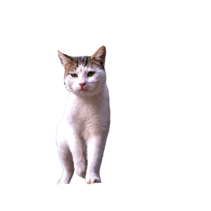 A Curious Street Cat Stands On A Ledge In İZmir, TüRkiye, Surrounded By Lush Greenery. 15353 - Cat PNG image with transparent background